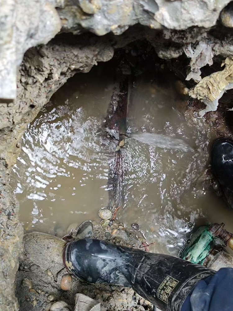 巴州区本地服务：小区水管漏水检测维修